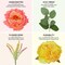 24-Inch Handcrafted Peony & Tulip Wreath with Eucalyptus Leaves – Lifelike Spring & Summer Front Door Wreath for Porch, Mantel, Wall, Farmhouse, Patio & Home Décor